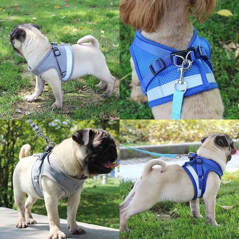 Reflective Safety Pet Dog Harness and Leash Set for Small Medium Dogs