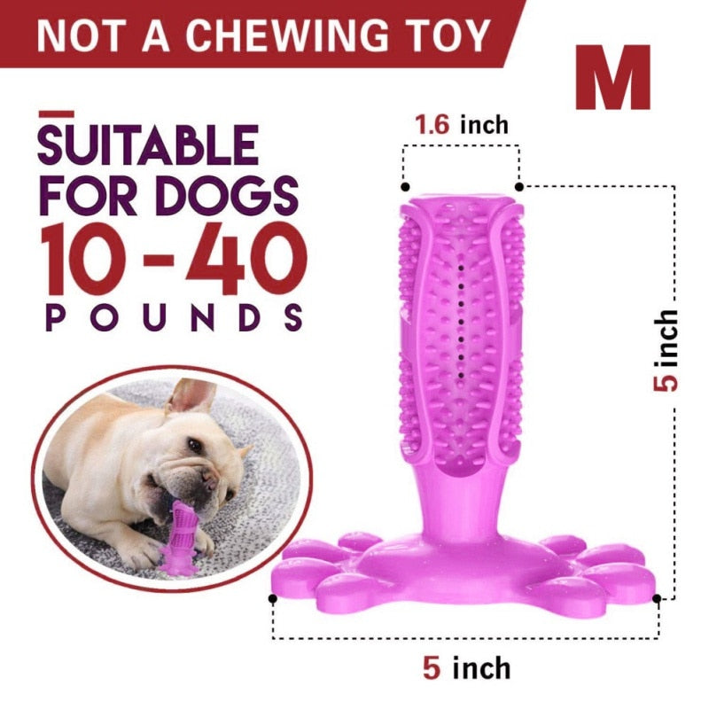 Toothbrush For Dog