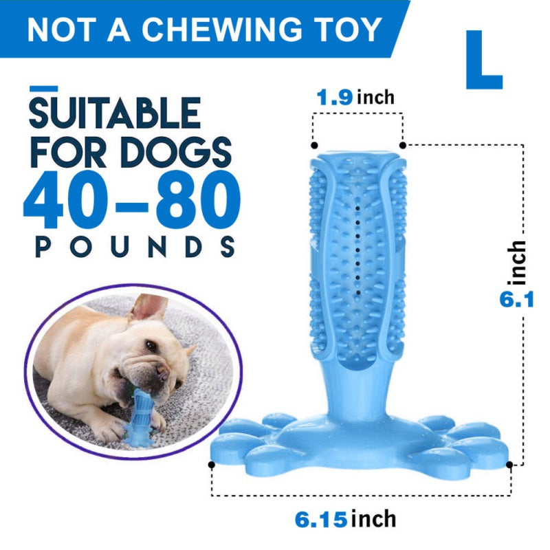 Toothbrush For Dog