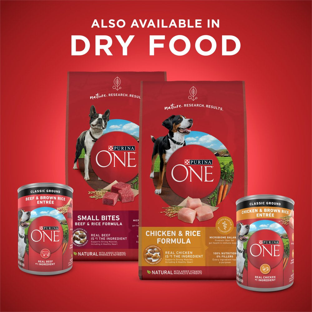 (6 Pack) Purina ONE Natural Wet Dog Food Variety Pack, Chicken and Brown Rice and Beef and Brown Rice Entrees, 13 Oz. Cans