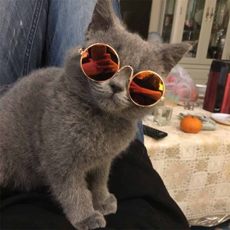 Vintage Round Cat Sunglasses