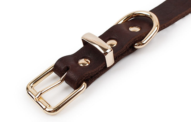 Top Grade Leather Dog Collar Pet Leads Alloy Buckle