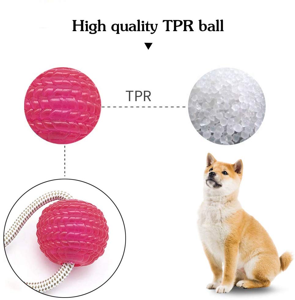 Suction cup dog push toy Interactive fun Pet toy with TPR ball