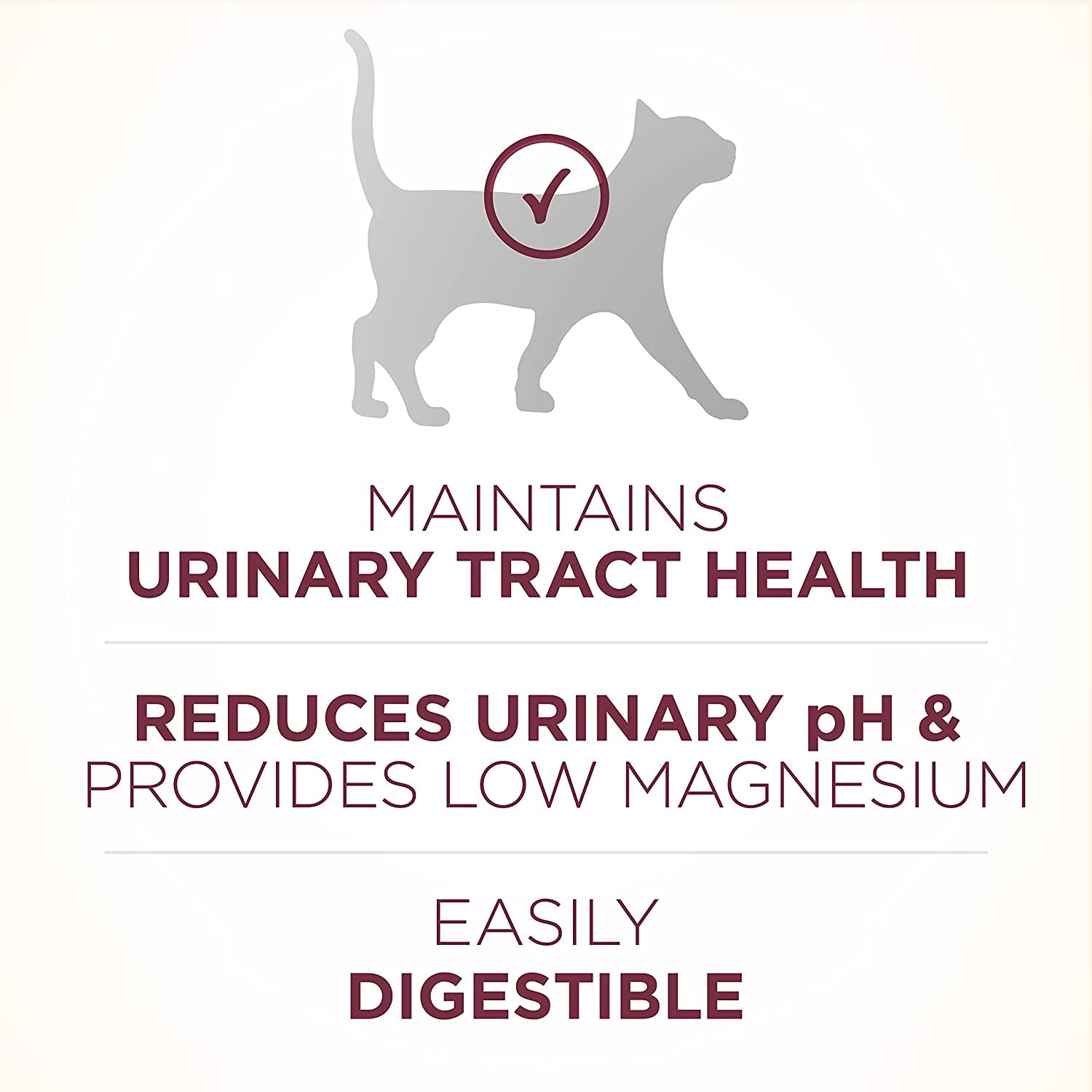 Purina ONE High Protein Dry Cat Food, +Plus Urinary Tract Health Formula - 22 Lb. Bag