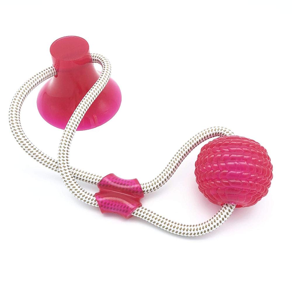 Suction cup dog push toy Interactive fun Pet toy with TPR ball