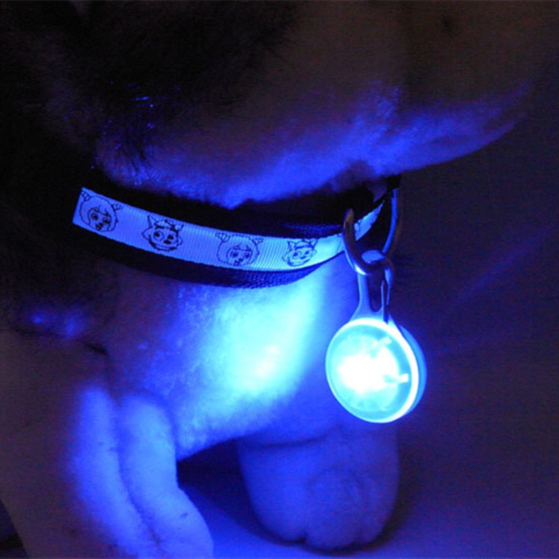 LED Pet Dog Collar Pendant Night Safety Glowing